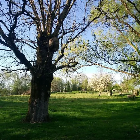 Les Clés Nature Appartement *