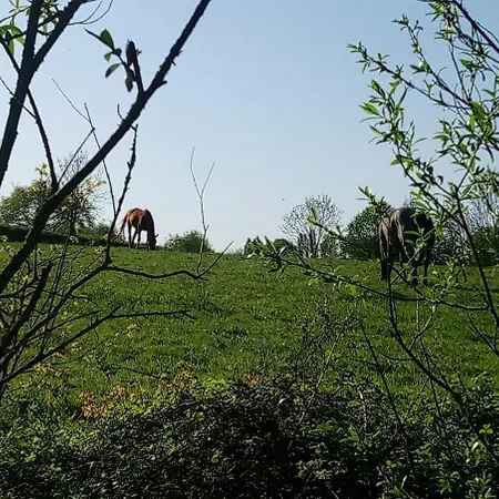 Les Clés Nature