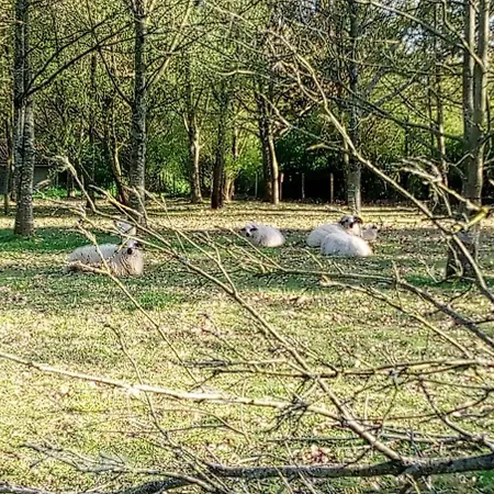 Les Clés Nature *