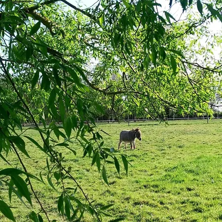 Les Clés Nature Appartement