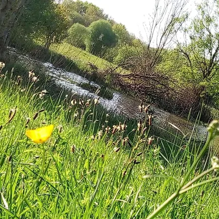 Appartement Les Clés Nature *